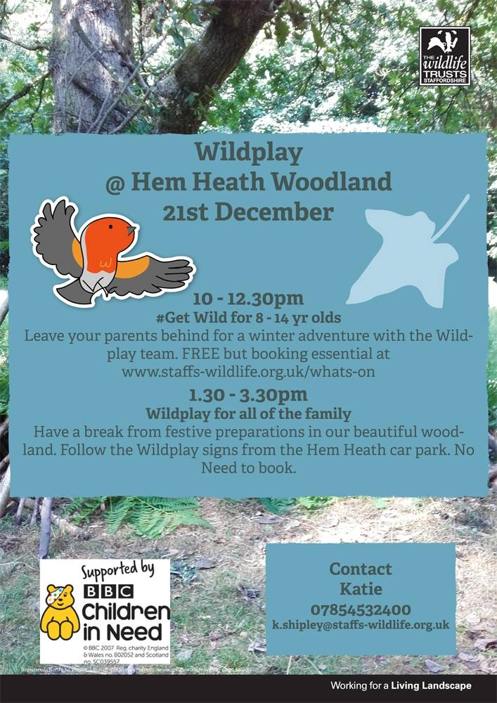 winter poster wildplay 2016 sml