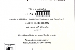 Lucas-H-Grade-1-Theory-Distinction